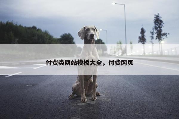 付费类网站模板大全，付费网页-第1张图片-冷动云
