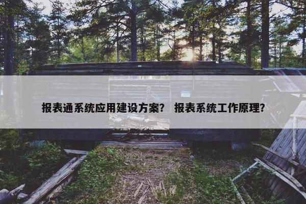 报表通系统应用建设方案？ 报表系统工作原理？-第1张图片-冷动云