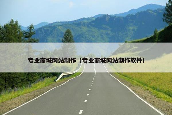 专业商城网站制作（专业商城网站制作软件）-第1张图片-冷动云