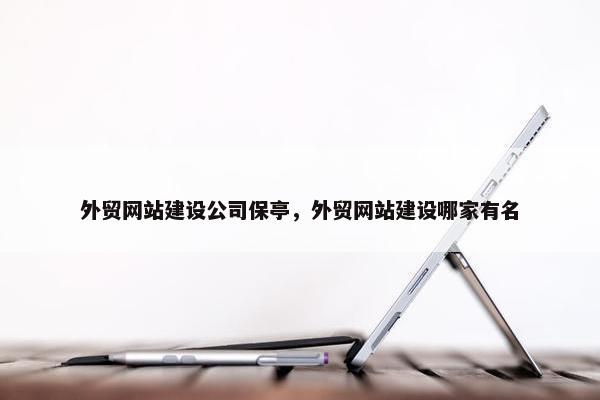 外贸网站建设公司保亭，外贸网站建设哪家有名-第1张图片-冷动云