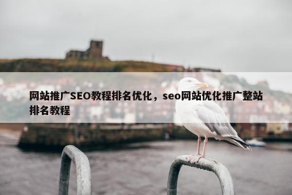网站推广SEO教程排名优化，seo网站优化推广整站排名教程-第1张图片-冷动云