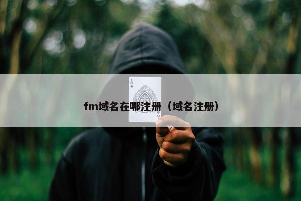 fm域名在哪注册（域名注册）-第1张图片-冷动云