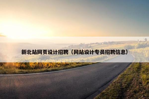 新北站网页设计招聘（网站设计专员招聘信息）-第1张图片-冷动云