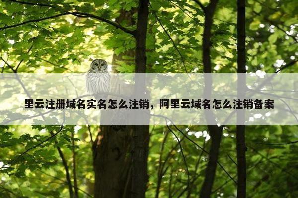 里云注册域名实名怎么注销，阿里云域名怎么注销备案-第1张图片-冷动云