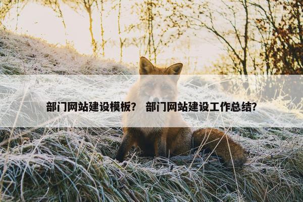 部门网站建设模板？ 部门网站建设工作总结？-第1张图片-冷动云