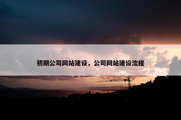 初期公司网站建设，公司网站建设流程-第1张图片-冷动云