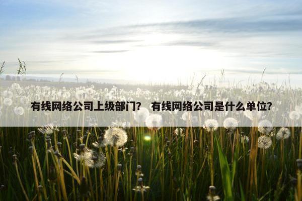 有线网络公司上级部门？ 有线网络公司是什么单位？-第1张图片-冷动云