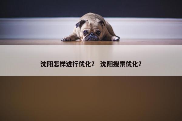 沈阳怎样进行优化？ 沈阳搜索优化？-第1张图片-冷动云