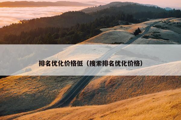 排名优化价格低（搜索排名优化价格）-第1张图片-冷动云