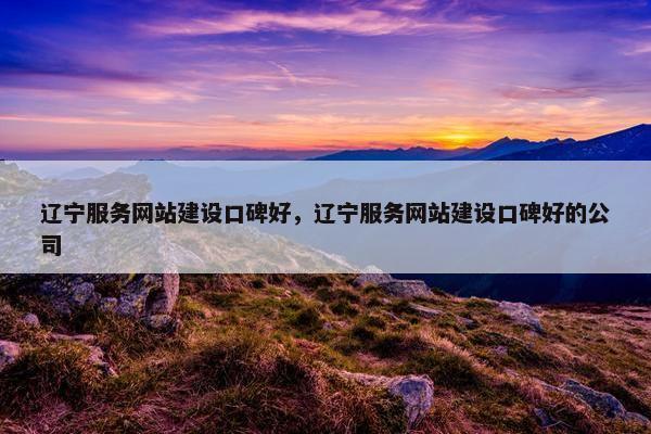 辽宁服务网站建设口碑好，辽宁服务网站建设口碑好的公司-第1张图片-冷动云