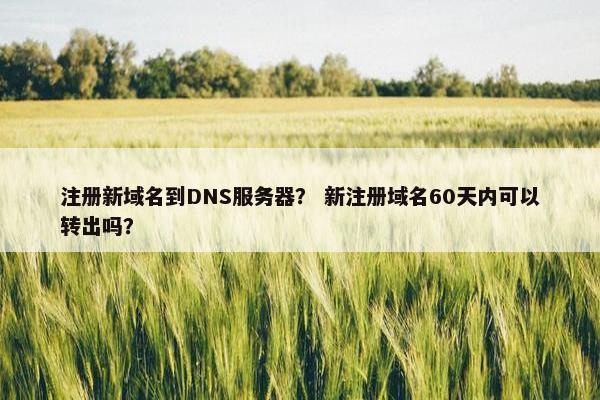 注册新域名到DNS服务器？ 新注册域名60天内可以转出吗？-第1张图片-冷动云