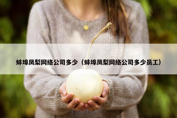 蚌埠凤梨网络公司多少（蚌埠凤梨网络公司多少员工）-第1张图片-冷动云