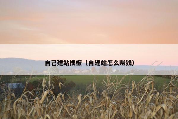 自己建站模板（自建站怎么赚钱）-第1张图片-冷动云