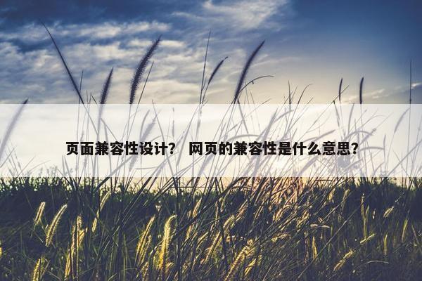 页面兼容性设计？ 网页的兼容性是什么意思？-第1张图片-冷动云