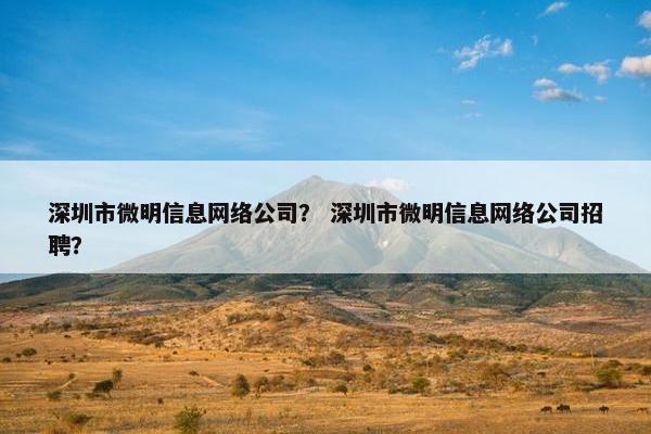 深圳市微明信息网络公司？ 深圳市微明信息网络公司招聘？-第1张图片-冷动云