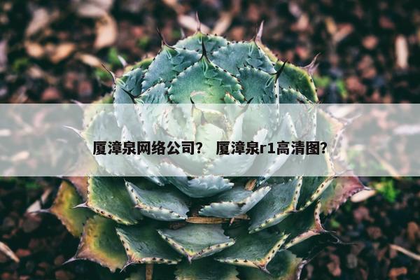 厦漳泉网络公司？ 厦漳泉r1高清图？-第1张图片-冷动云