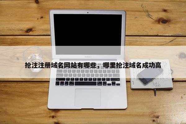 抢注注册域名网站有哪些，哪里抢注域名成功高-第1张图片-冷动云