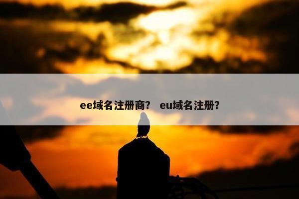 ee域名注册商？ eu域名注册？-第1张图片-冷动云