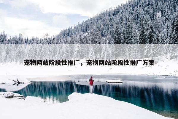 宠物网站阶段性推广，宠物网站阶段性推广方案-第1张图片-冷动云