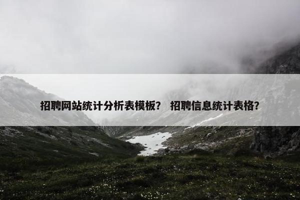 招聘网站统计分析表模板？ 招聘信息统计表格？-第1张图片-冷动云