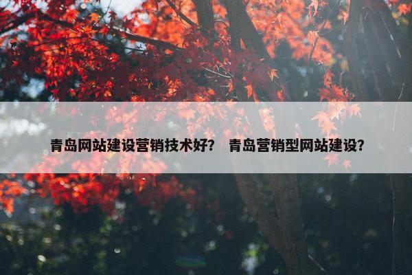 青岛网站建设营销技术好？ 青岛营销型网站建设？-第1张图片-冷动云