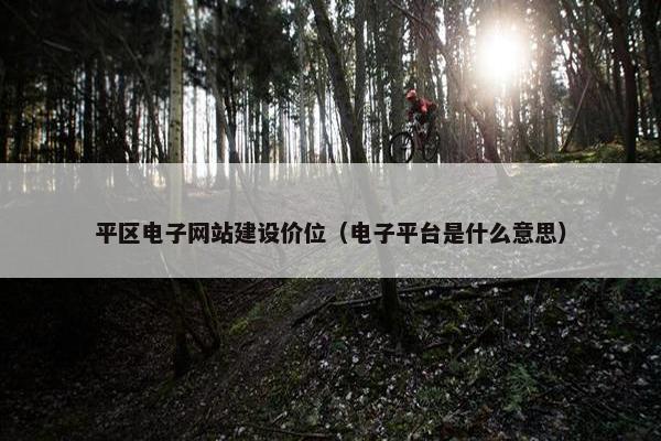 平区电子网站建设价位（电子平台是什么意思）-第1张图片-冷动云