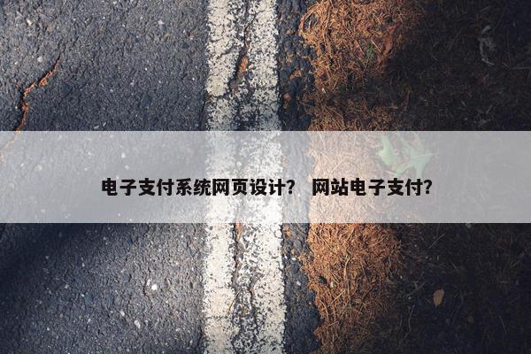 电子支付系统网页设计？ 网站电子支付？-第1张图片-冷动云