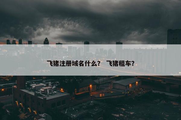 飞猪注册域名什么？ 飞猪租车？-第1张图片-冷动云