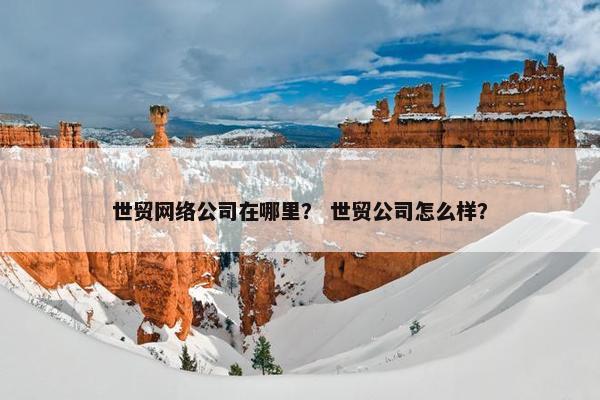 世贸网络公司在哪里？ 世贸公司怎么样？-第1张图片-冷动云