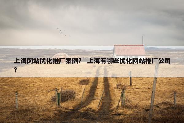 上海网站优化推广案例？ 上海有哪些优化网站推广公司？-第1张图片-冷动云