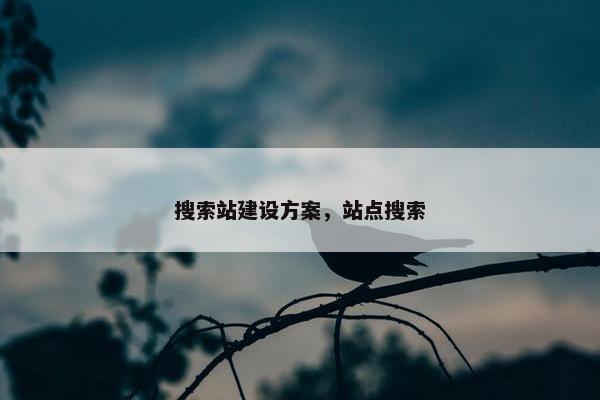搜索站建设方案，站点搜索-第1张图片-冷动云