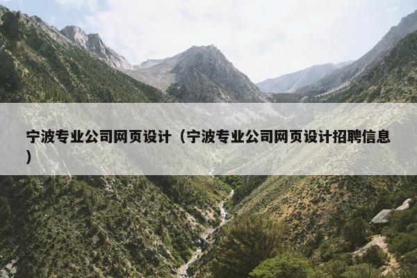 宁波专业公司网页设计（宁波专业公司网页设计招聘信息）-第1张图片-冷动云