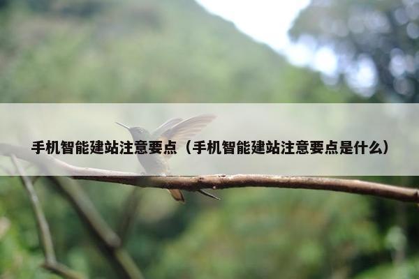 手机智能建站注意要点（手机智能建站注意要点是什么）-第1张图片-冷动云
