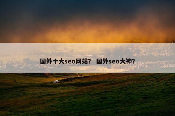 国外十大seo网站？ 国外seo大神？-第1张图片-冷动云