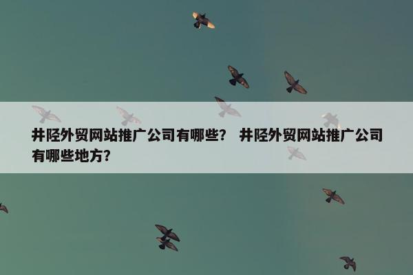 井陉外贸网站推广公司有哪些？ 井陉外贸网站推广公司有哪些地方？-第1张图片-冷动云