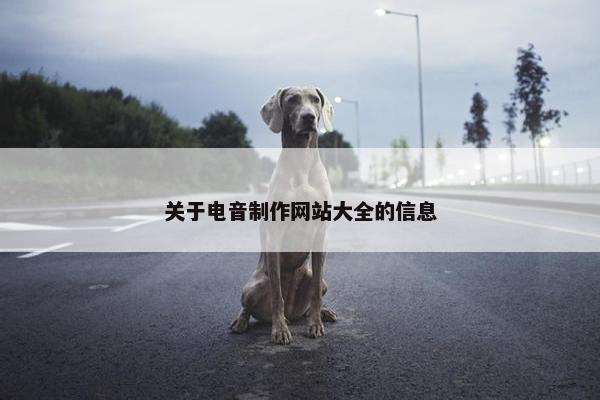 关于电音制作网站大全的信息-第1张图片-冷动云