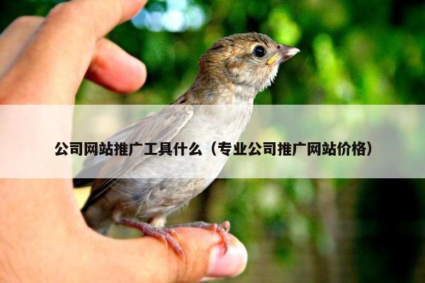公司网站推广工具什么（专业公司推广网站价格）-第1张图片-冷动云