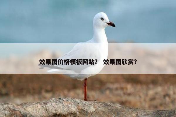 效果图价格模板网站？ 效果图欣赏？-第1张图片-冷动云