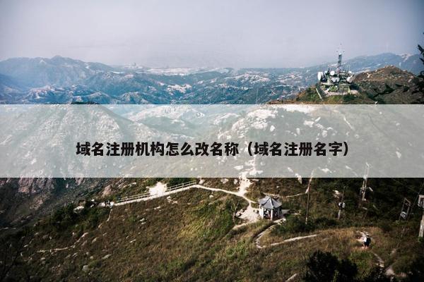 域名注册机构怎么改名称（域名注册名字）-第1张图片-冷动云