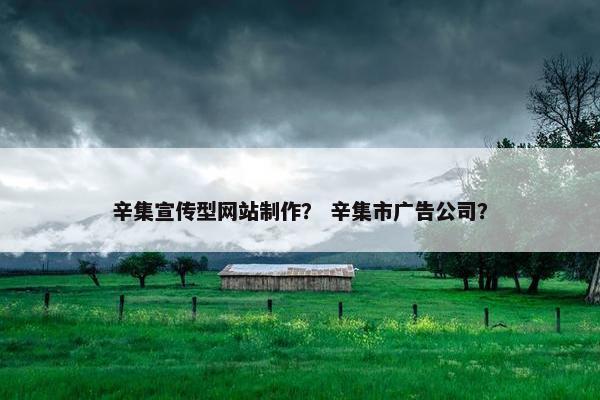 辛集宣传型网站制作？ 辛集市广告公司？-第1张图片-冷动云