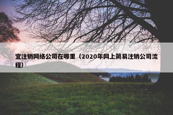 宜注销网络公司在哪里（2020年网上简易注销公司流程）-第1张图片-冷动云