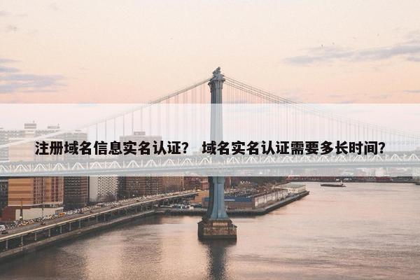 注册域名信息实名认证？ 域名实名认证需要多长时间？-第1张图片-冷动云
