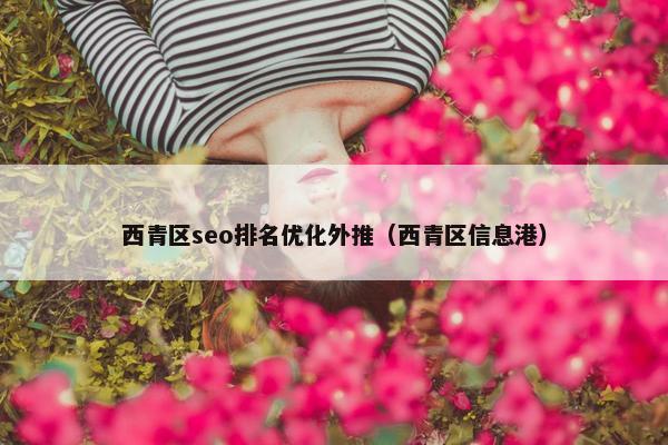 西青区seo排名优化外推（西青区信息港）-第1张图片-冷动云