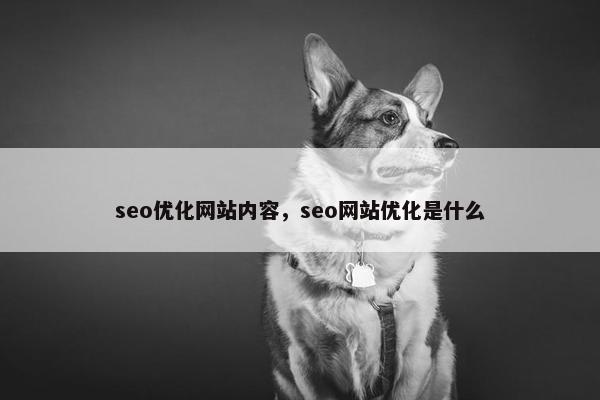 seo优化网站内容，seo网站优化是什么-第1张图片-冷动云