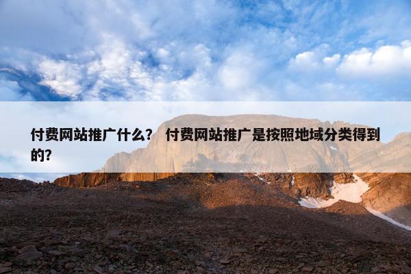 付费网站推广什么？ 付费网站推广是按照地域分类得到的？-第1张图片-冷动云