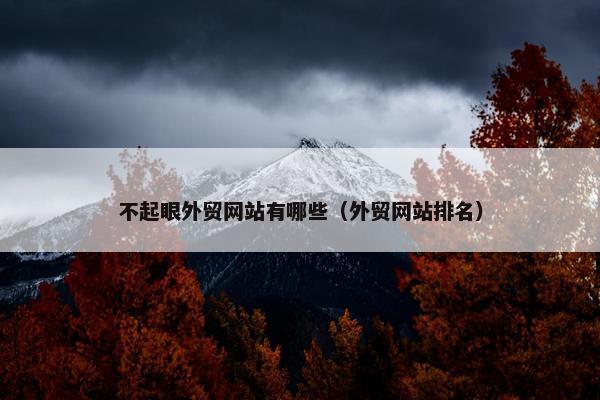 不起眼外贸网站有哪些（外贸网站排名）-第1张图片-冷动云