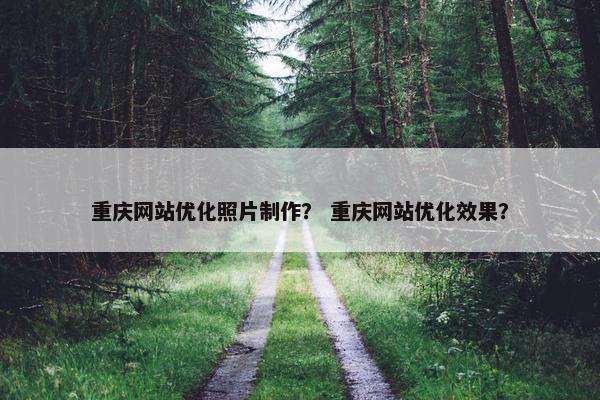 重庆网站优化照片制作？ 重庆网站优化效果？-第1张图片-冷动云