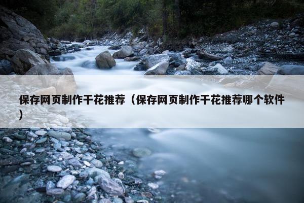 保存网页制作干花推荐（保存网页制作干花推荐哪个软件）-第1张图片-冷动云