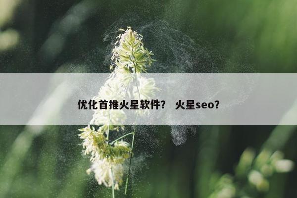 优化首推火星软件？ 火星seo？-第1张图片-冷动云
