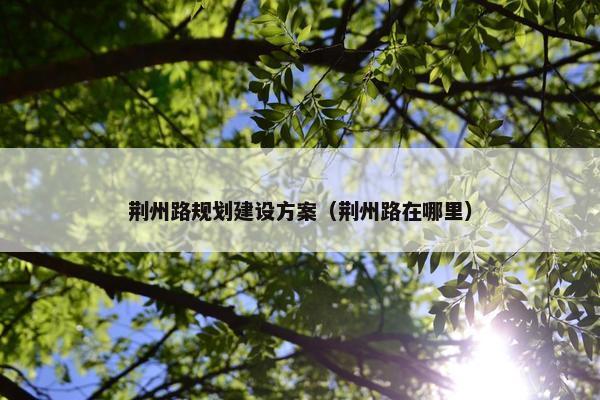 荆州路规划建设方案（荆州路在哪里）-第1张图片-冷动云